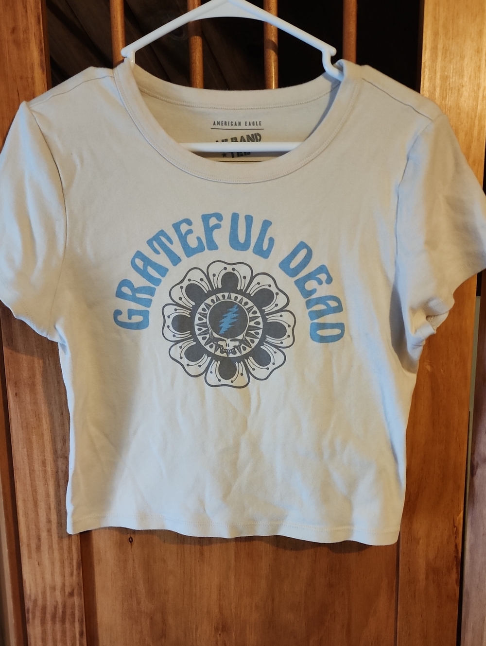 American Eagle Outfitters Light Blue Grateful Dead Graphic Tee